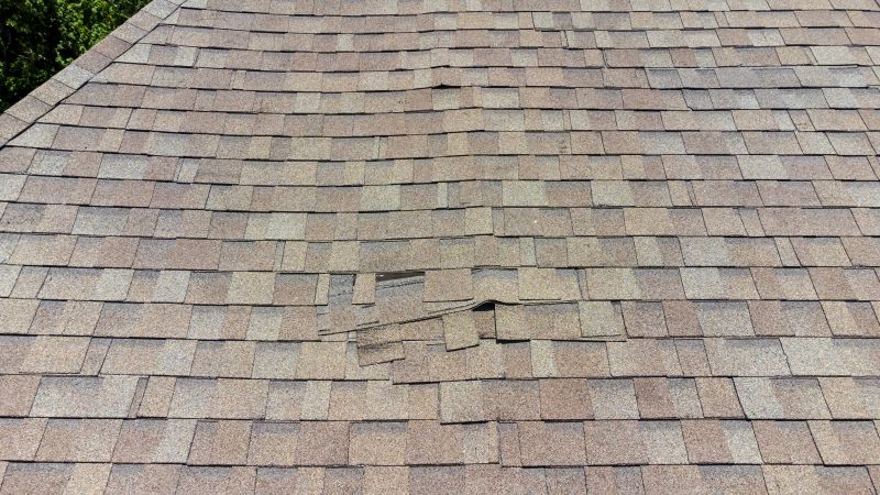 Asphalt Roof Inspection in Berlin, MD