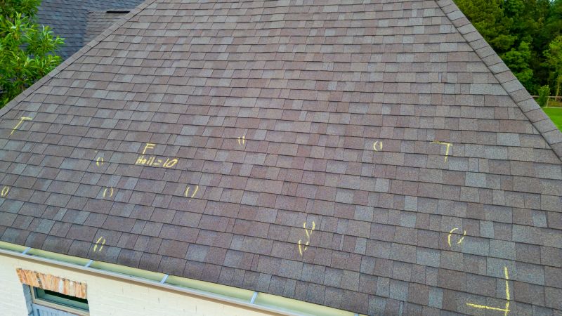 Asphalt Roof Inspection in Lewes, DE