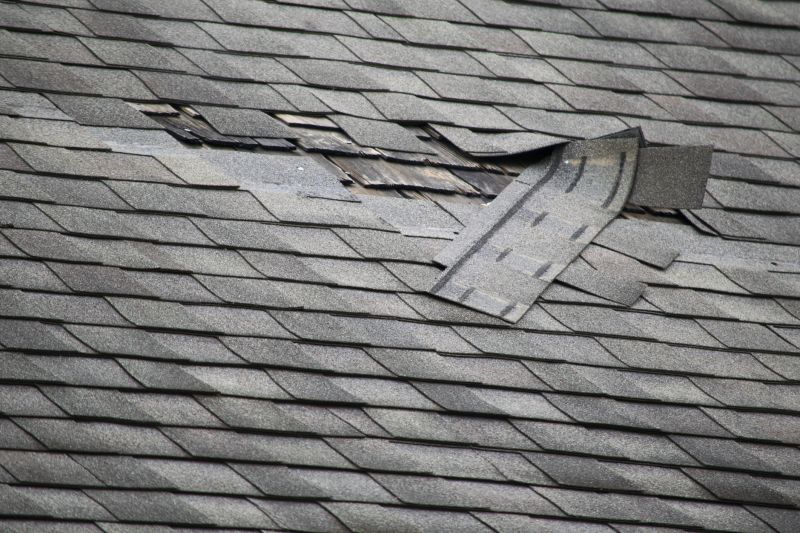 Asphalt Roof Leak Repair in Frankford, DE