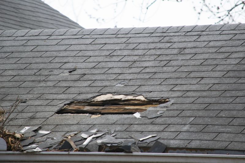 Asphalt Roof Leak Repair in Millville, DE
