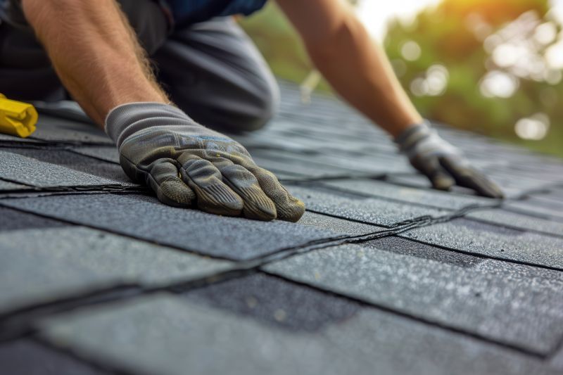 Asphalt Roof Leak Repair in Ocean View, DE