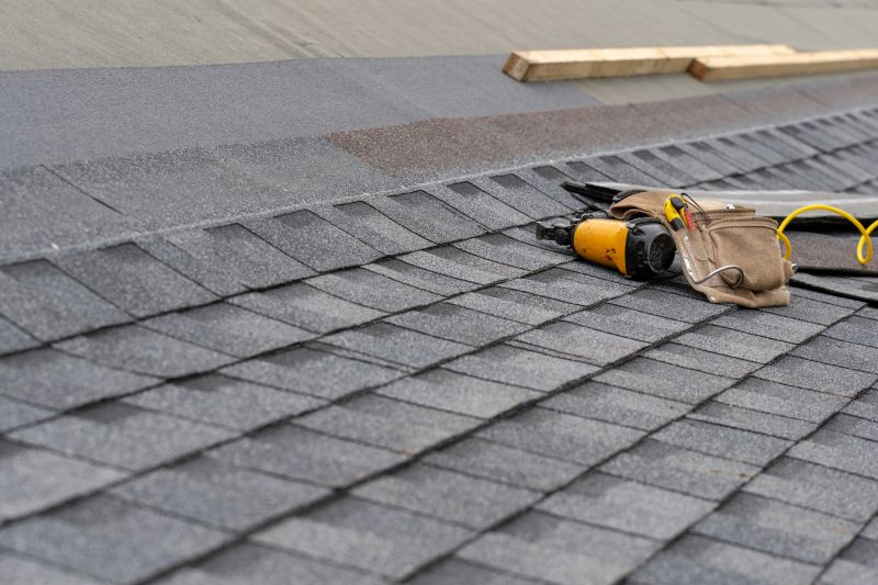 Asphalt Roof Repair in Dewey Beach, DE