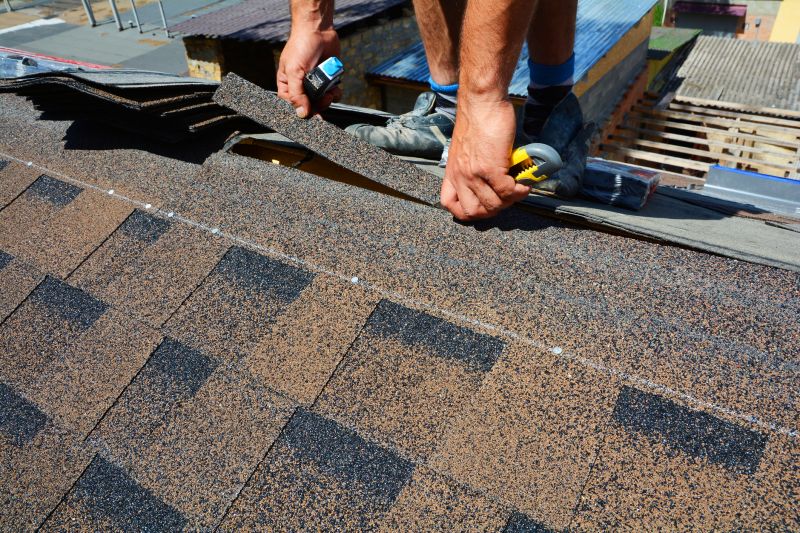 Asphalt Roof Repair in Fenwick Island, DE