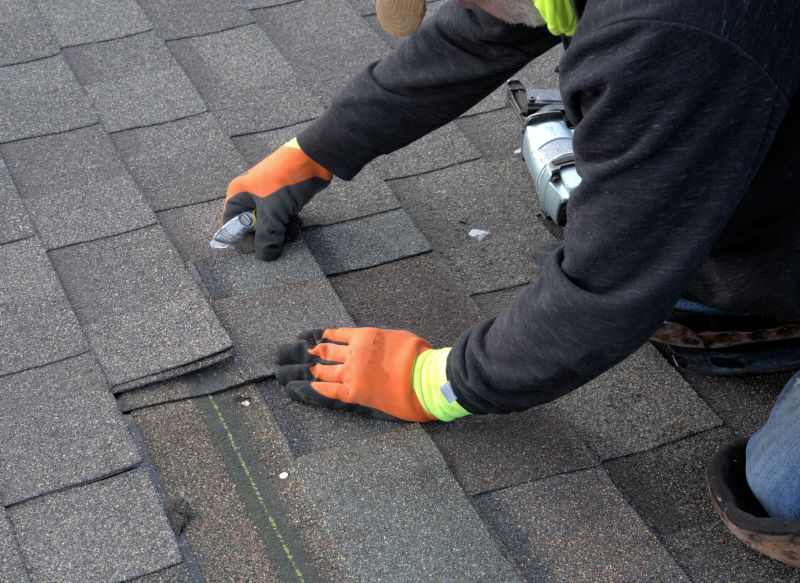 Asphalt Roof Repair in Greenwood, DE