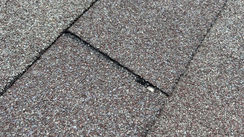 Asphalt Roof Repair in Salisbury, MD