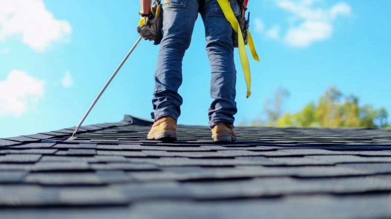 Asphalt Shingles Installation in Ellendale, DE