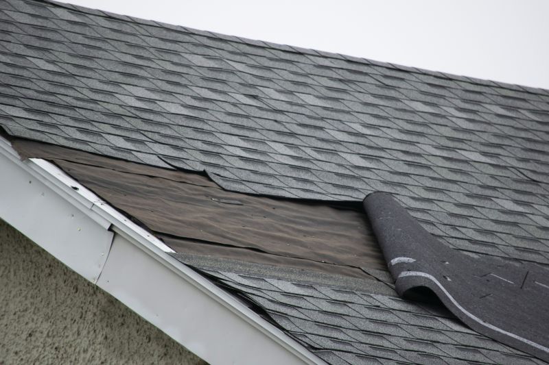 Asphalt Shingles Repair in Berlin, MD