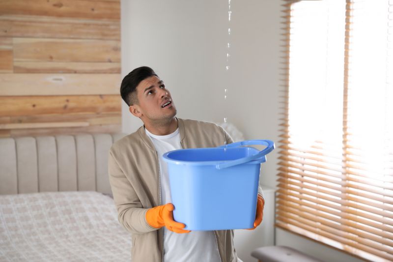 Bedroom Leak Repair in Millsboro, DE