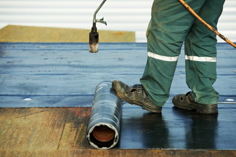 Bitumen Roof Repair in Millsboro, DE