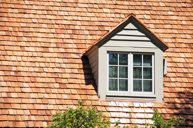 Cedar Shake Roof Repair in Frankford, DE