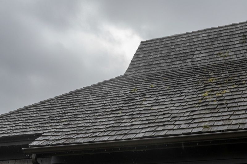 Cedar Shingles Replacement in Ellendale, DE