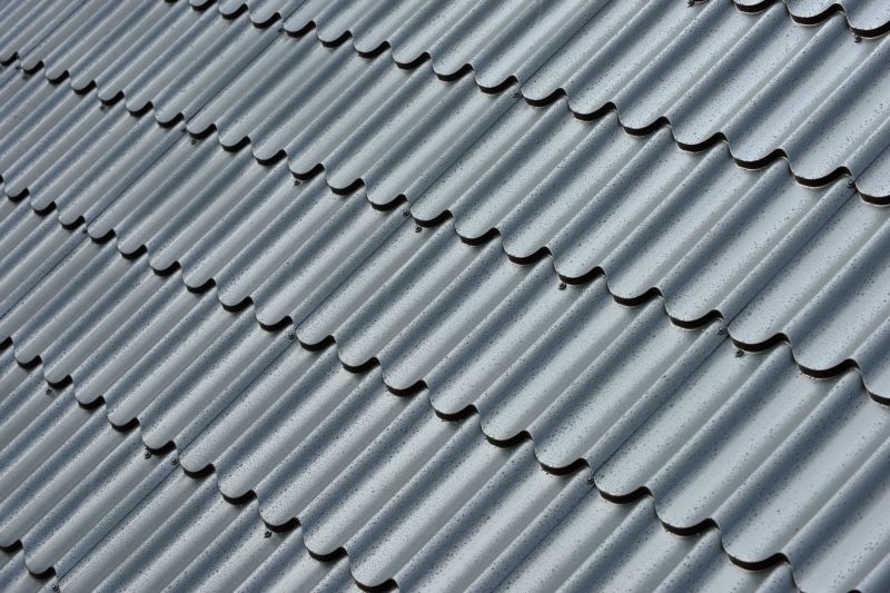 Corrugated Roof Repair in Selbyville, DE