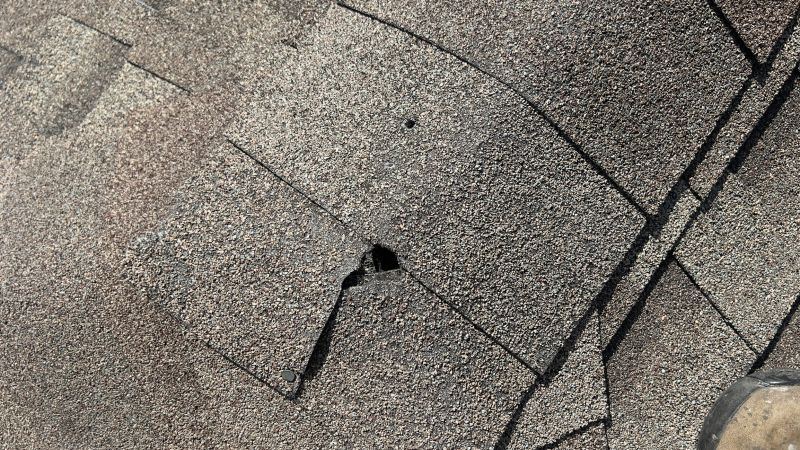 Damaged Roof Repair in Berlin, MD