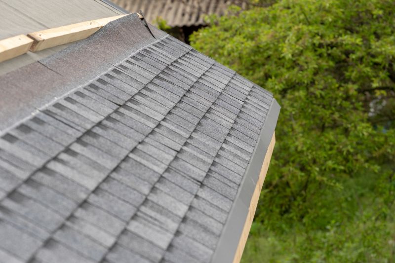 Damaged Roof Repair in Dagsboro, DE