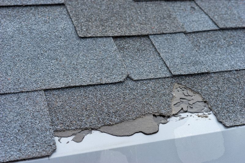 Damaged Roof Repair in Delmar, DE
