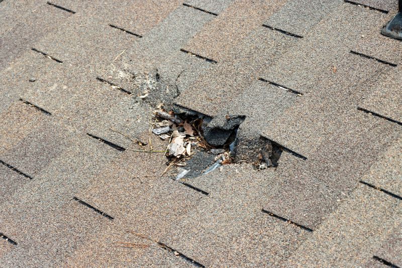 Damaged Roof Replacement in Millville, DE