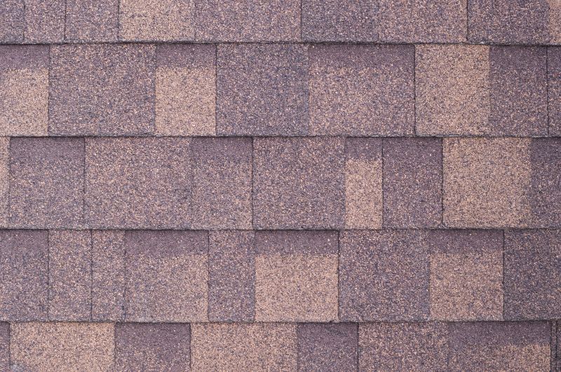 Fiberglass Shingles Repair in Millsboro, DE