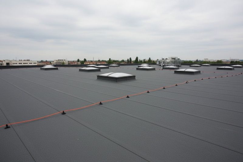 Flat Roof Replacement in Greenwood, DE