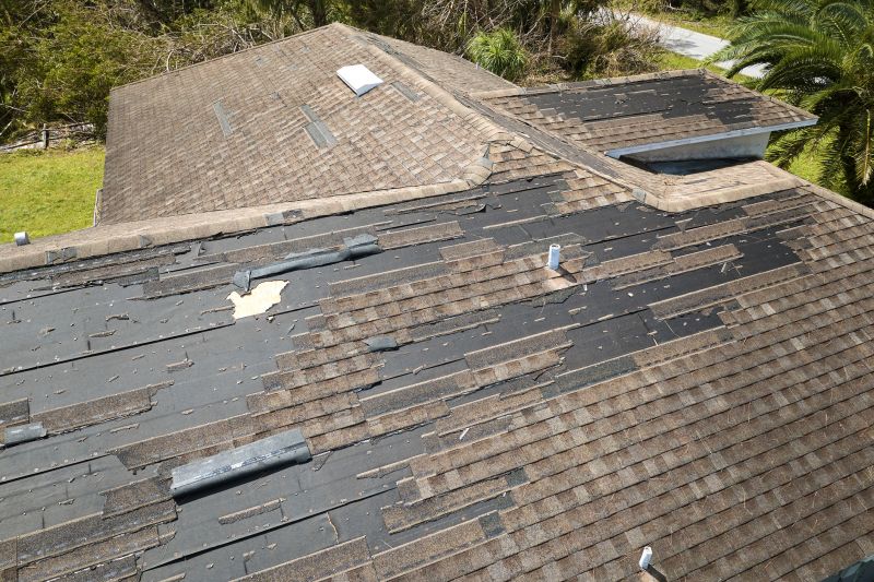 Hail Damage Roof Repair in Millsboro, DE