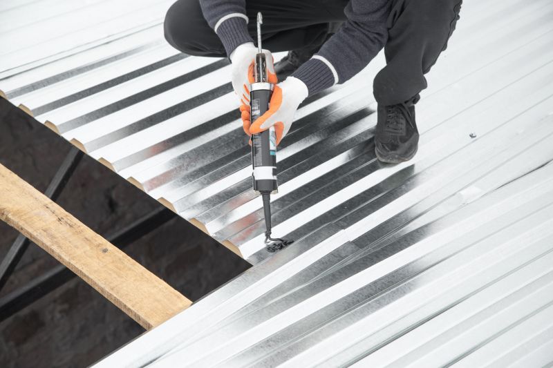 Metal Roof Coating Installation in Millsboro, DE