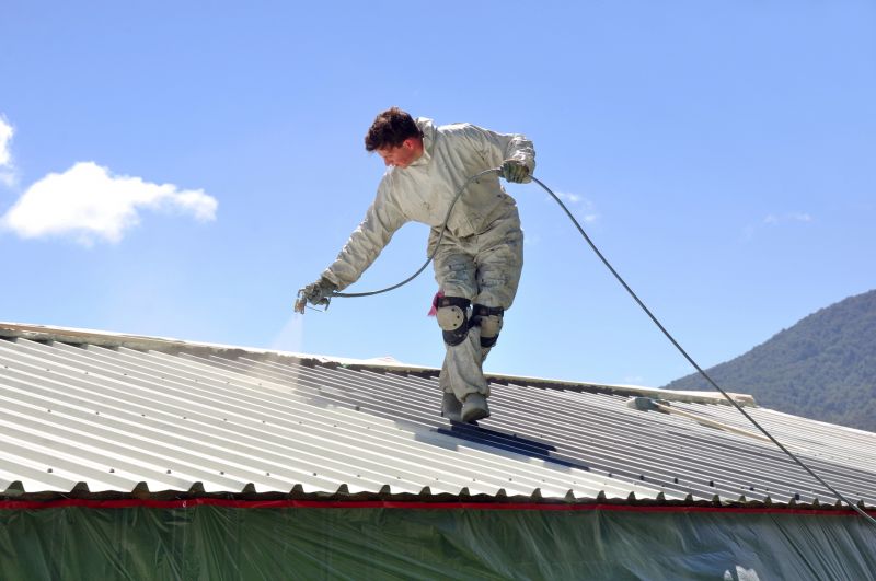 Metal Roof Coating Service in Millsboro, DE