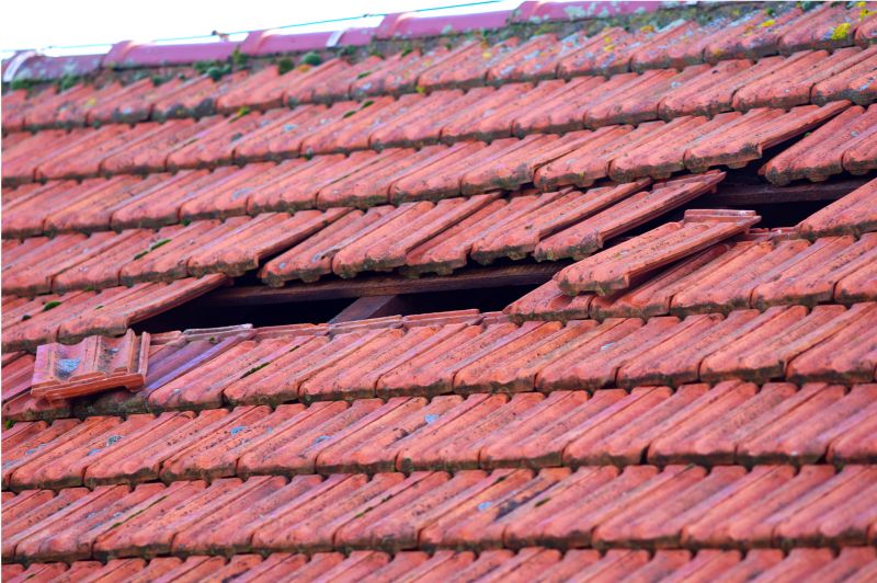 Roof Damage Inspection in Frankford, DE