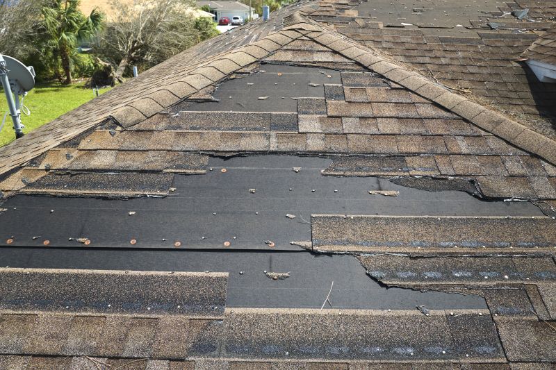Roof Hail Damage Repair in Millsboro, DE
