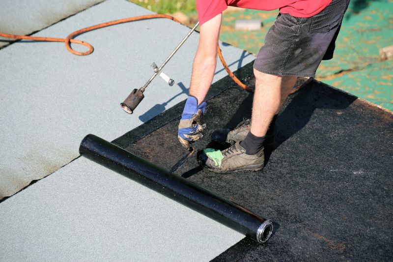 Roof Waterproofing in Dagsboro, DE