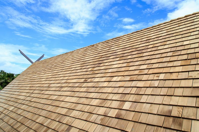 Shake Roof Replacement in Ellendale, DE