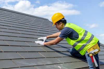Single Ply Roof Inspection in Millsboro, DE