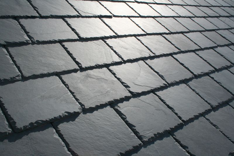Slate Roof Replacement in Frankford, DE