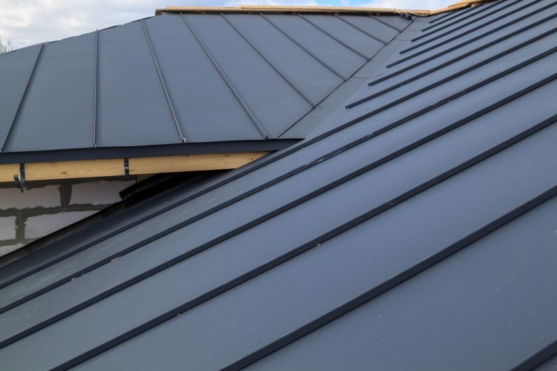 Steel Roof Repair in Millsboro, DE
