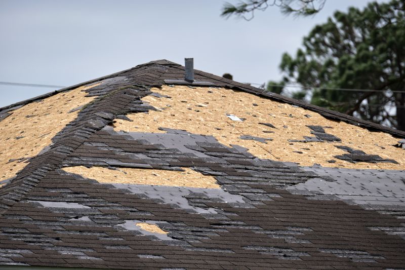 Storm Damage Roof Repair in Bridgeville, DE