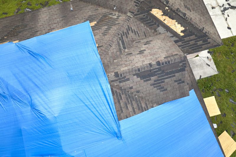 Storm Damage Roof Tarping in Millsboro, DE