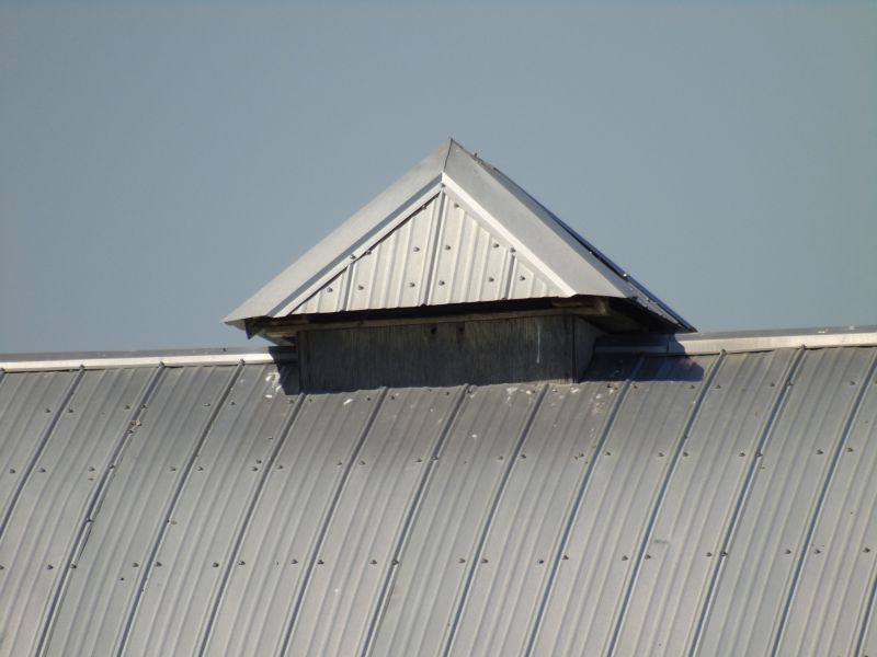 Tin Roof Installation in Frankford, DE