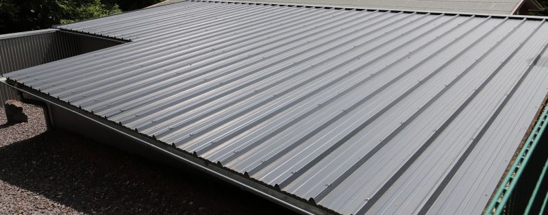 Tin Roof Installation in Millsboro, DE