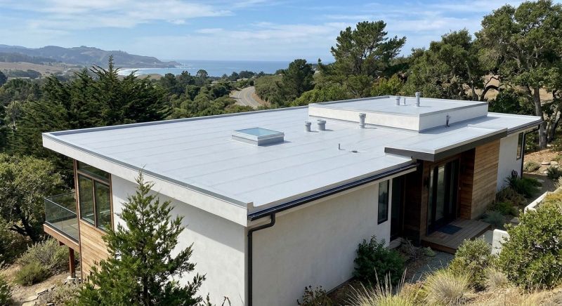 Tpo Roof Installation in Sussex County, DE