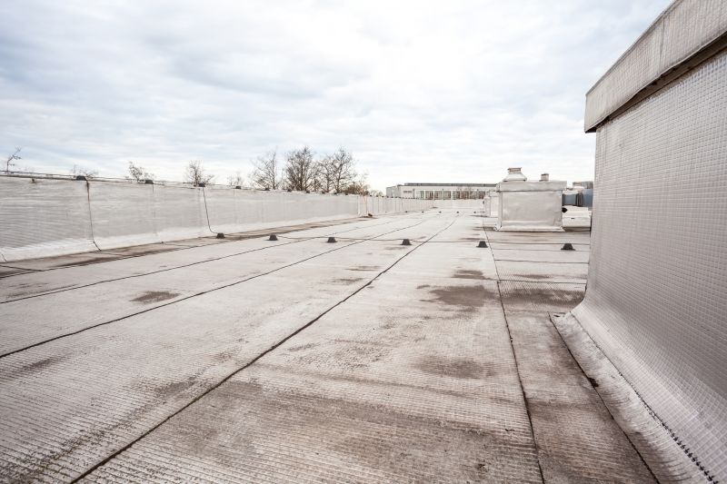 Tpo Roof Repair in Milton, DE