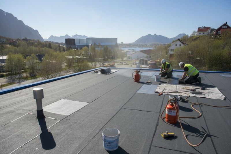 Tpo Roof Replacement in Lewes, DE