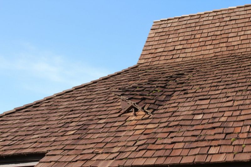 Wood Shake Roof Replacement in Dagsboro, DE