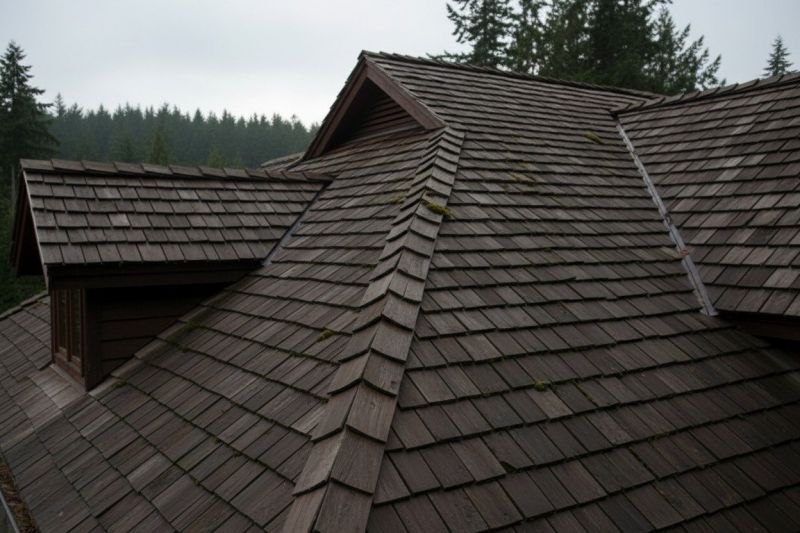 Wood Shake Roof Replacement in Harbeson, DE